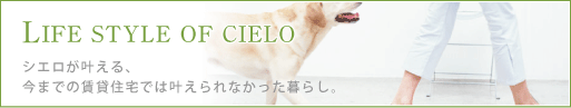 LIFE STYLE OF CIELO